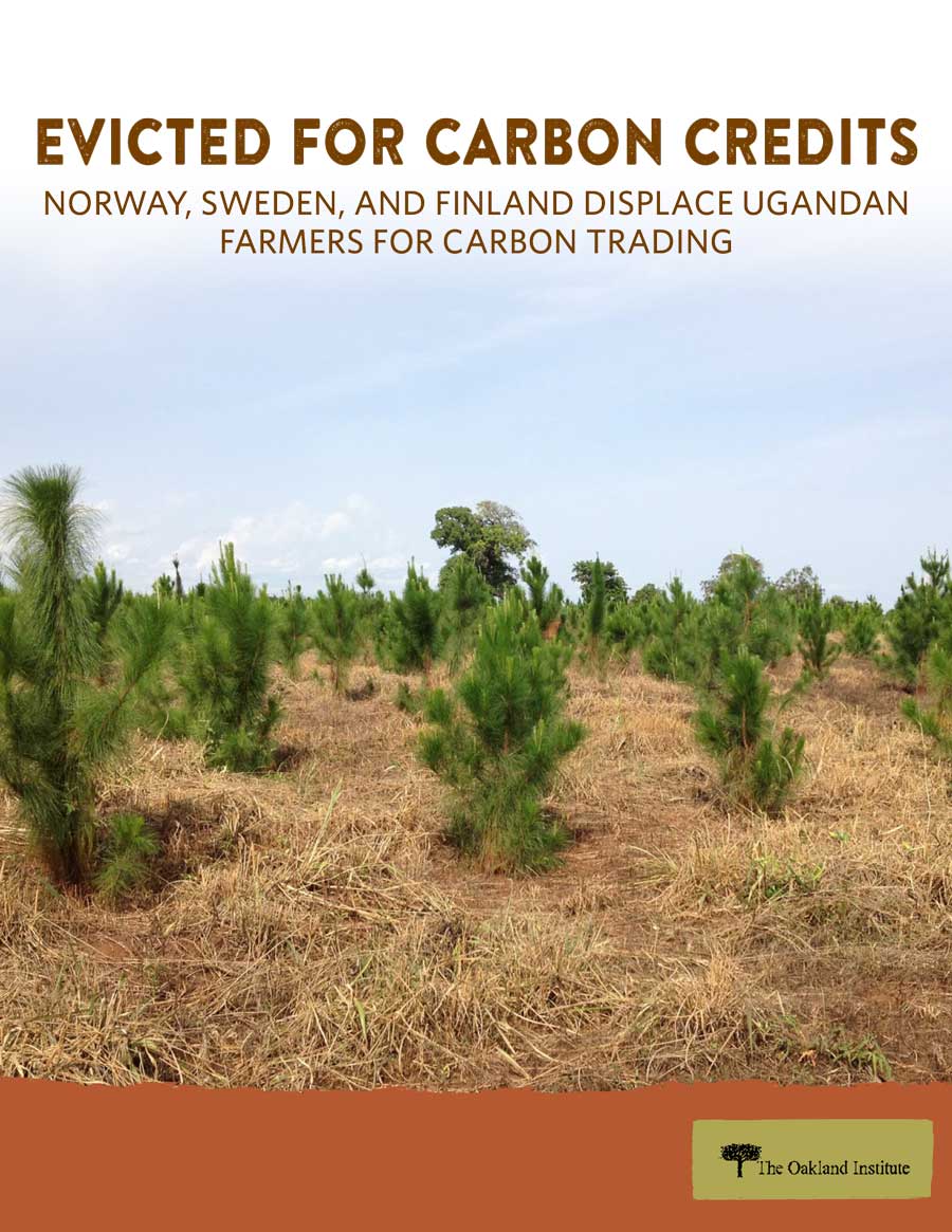 Evicted for Carbon Credits report cover