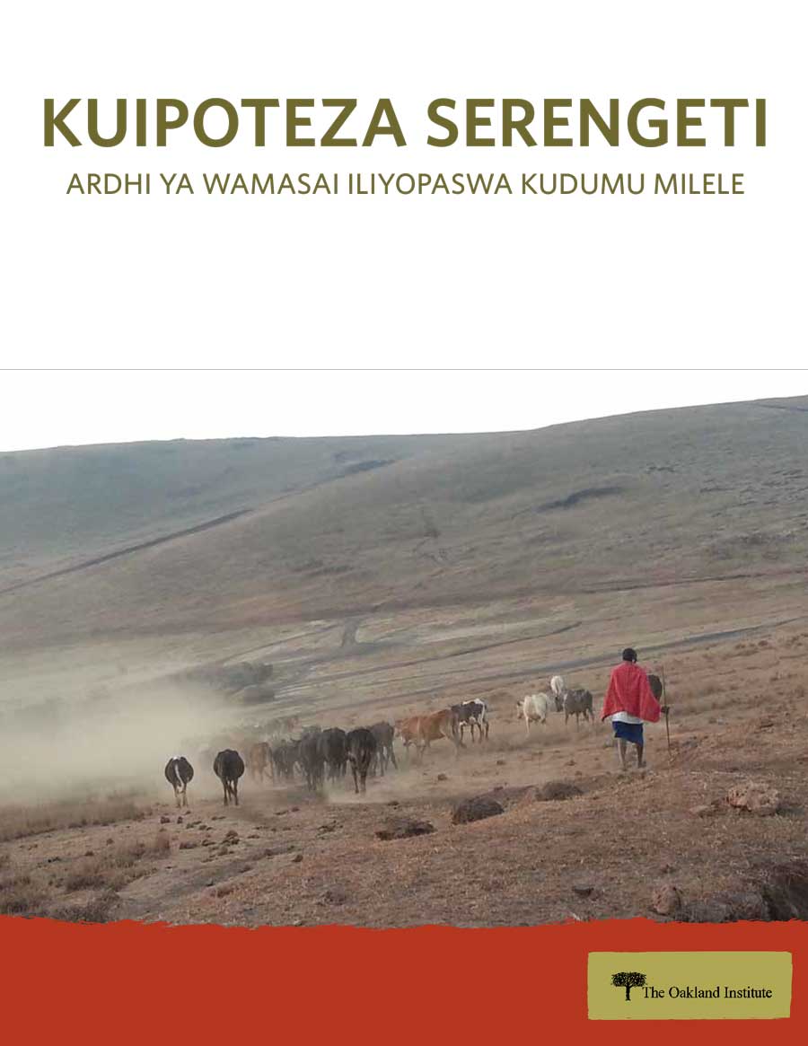 Losing the Serengeti report cover