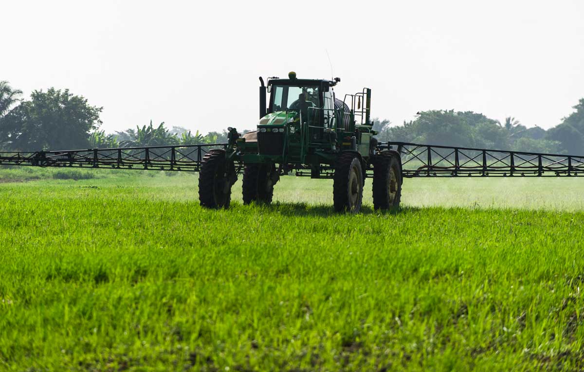 Crop spraying on the Agrica rice plantation. Credit: Greenpeace.