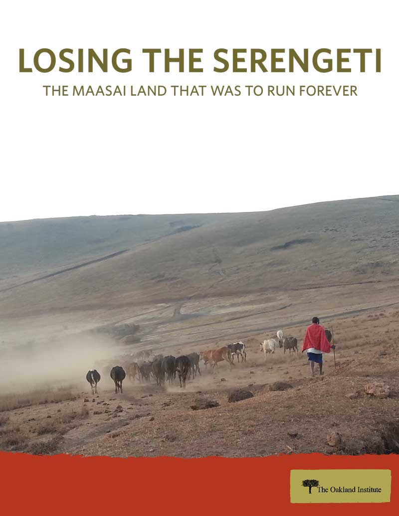 Losing the Serengeti report cover
